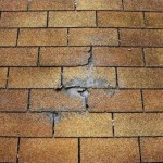 damage shingle by tree branch, roof repair must be done